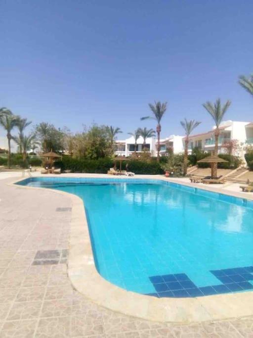Naama Bay Luxury Stylish Entire Flat With En-Suit Rooms -Centre Of Sharm Eksteriør billede